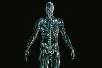 Osteoporose Wirbelsäule